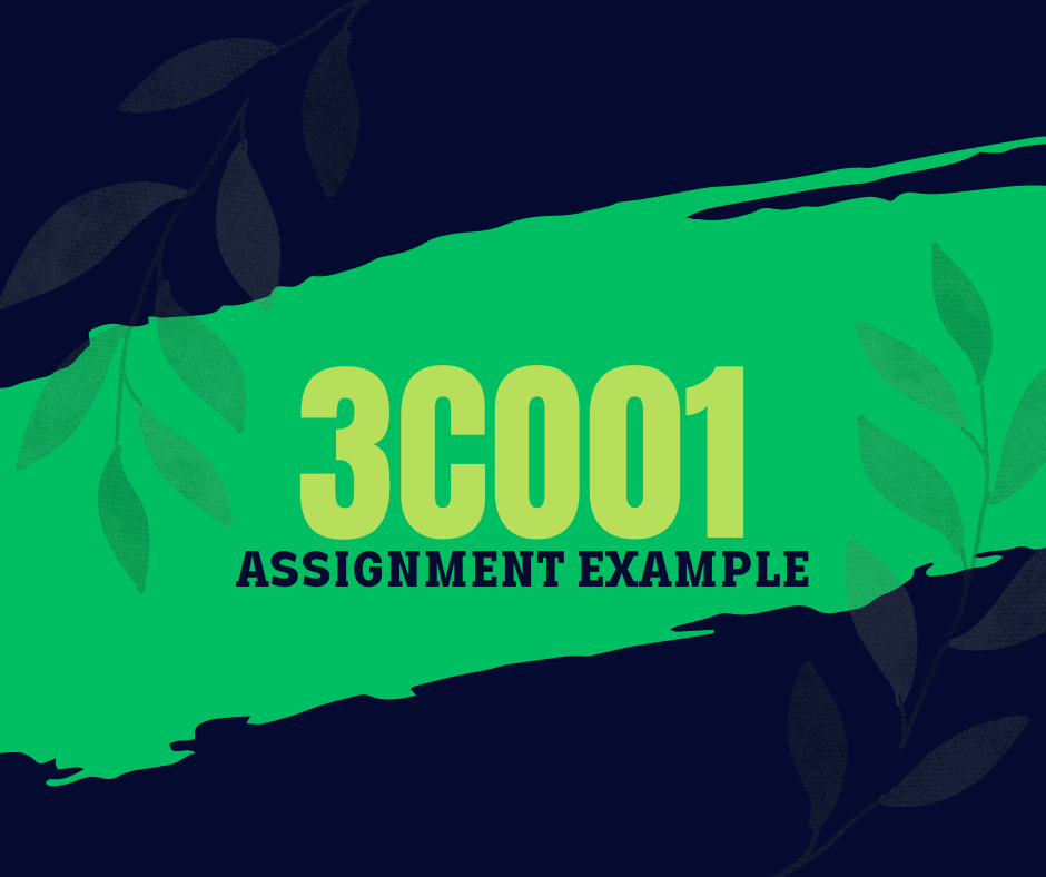 3co01 assignment example