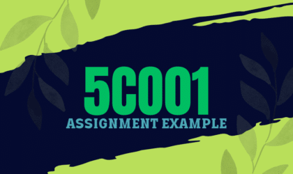 5CO01 Organisational Performance and Culture in Practice Assignment Answers