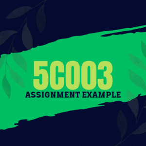 5CO03 Professional behaviours and valuing people Assignment Answers
