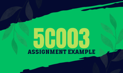 5CO03 Professional behaviours and valuing people Assignment Answers