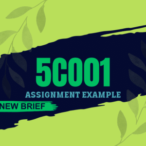 New Brief 5CO01 Assignment Example 2024
