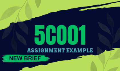 New Brief 5CO01 Assignment Example 2024