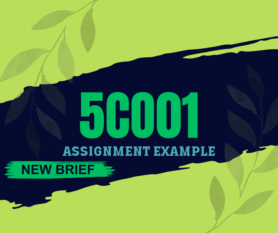 New Brief 5CO01 Assignment Example 2024