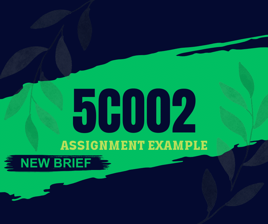New Brief 5CO02 Assignment Example 2024