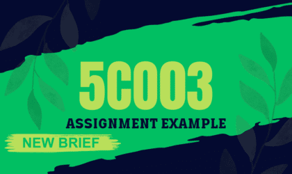 5CO03 Assignment Example 2024