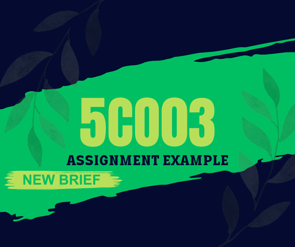 New Brief 5CO03 Assignment Example 2024
