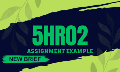 5HR02 Assignment Example 2024