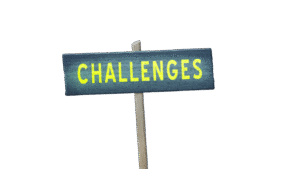 Role of people professionals in Attracting Talent