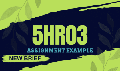 5HR03 Assignment Example 2024