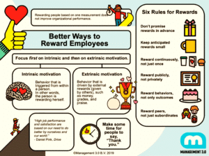 Using Extrinsic and Intrinsic Rewards to Improving Employee contribution and Boost Organisational Performance